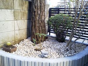 2012_0325_orecar04.jpg
