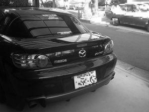 2013_0720_trunk.jpg