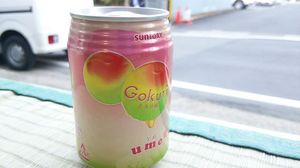 2014_0412_highland12_onsen04.jpg
