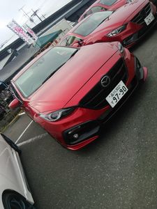 2014_1102_sab05.jpg